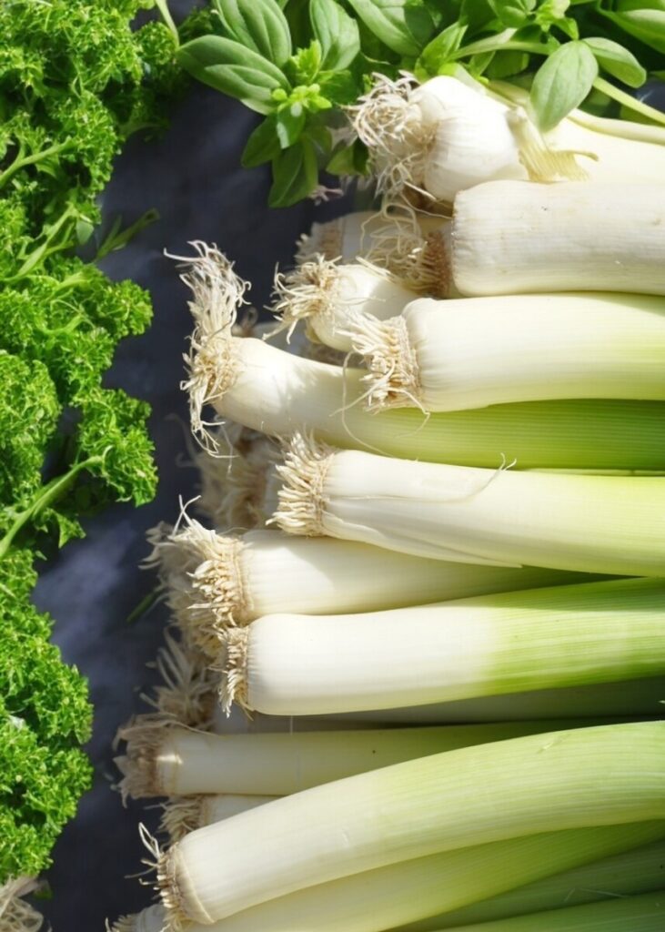 Magical Leek Soup: secret weight loss diet recipe - Munchyesta